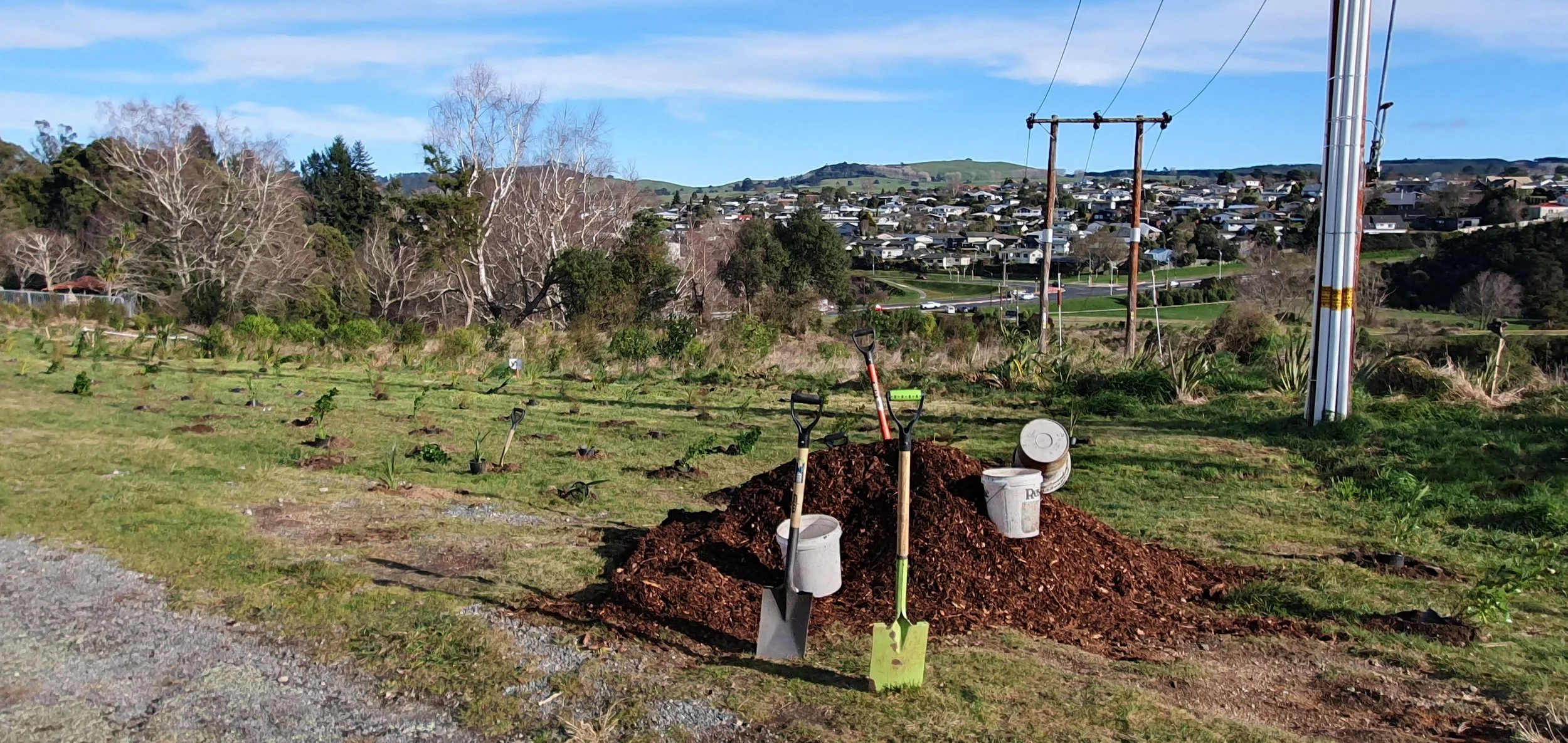 Wicked Weeders Tuesday 19th September
