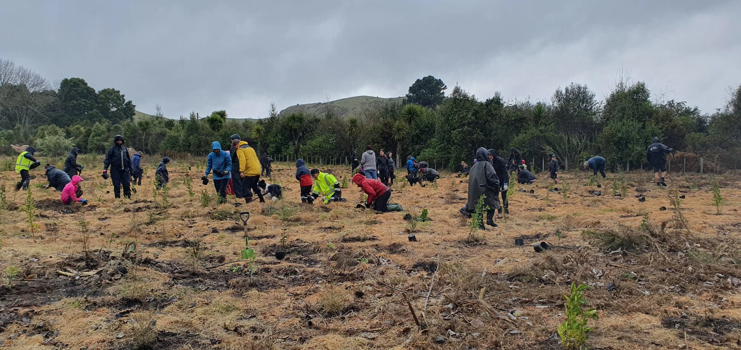 Wicked Weeders 10am tomorrow