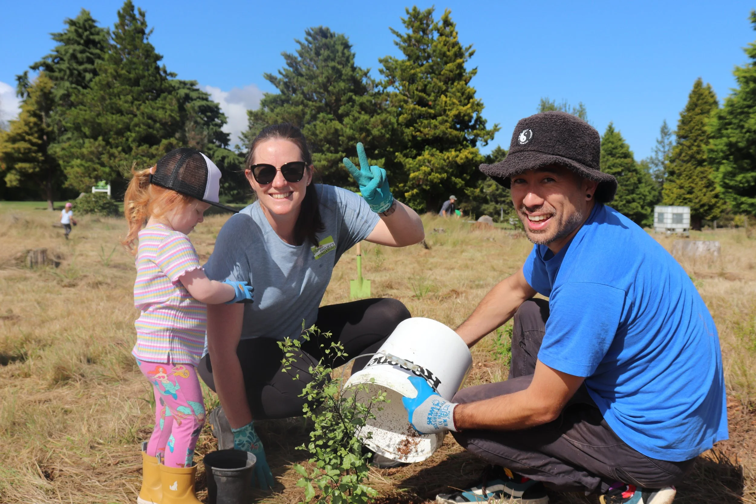  It was a hot planting alongside the greens. 
