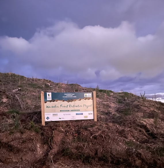 Wairakei Sign.png