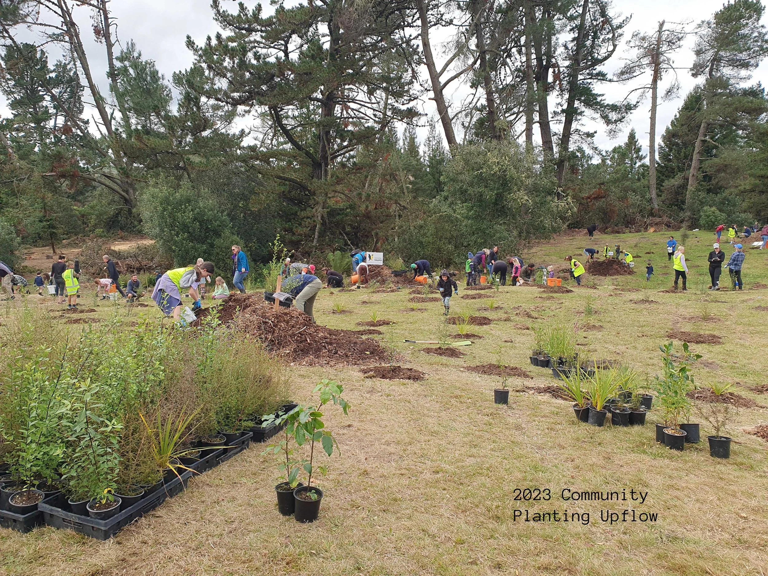 Wicked Weeders 14th May 