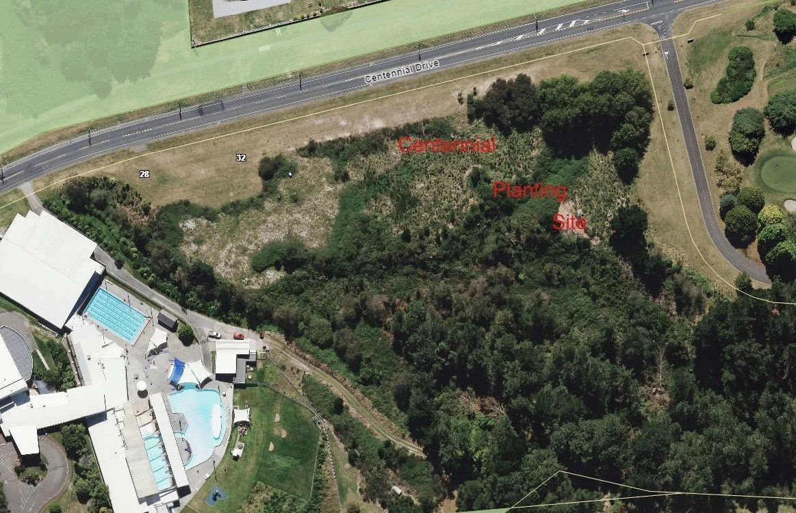 Centennial Planting Site.jpg