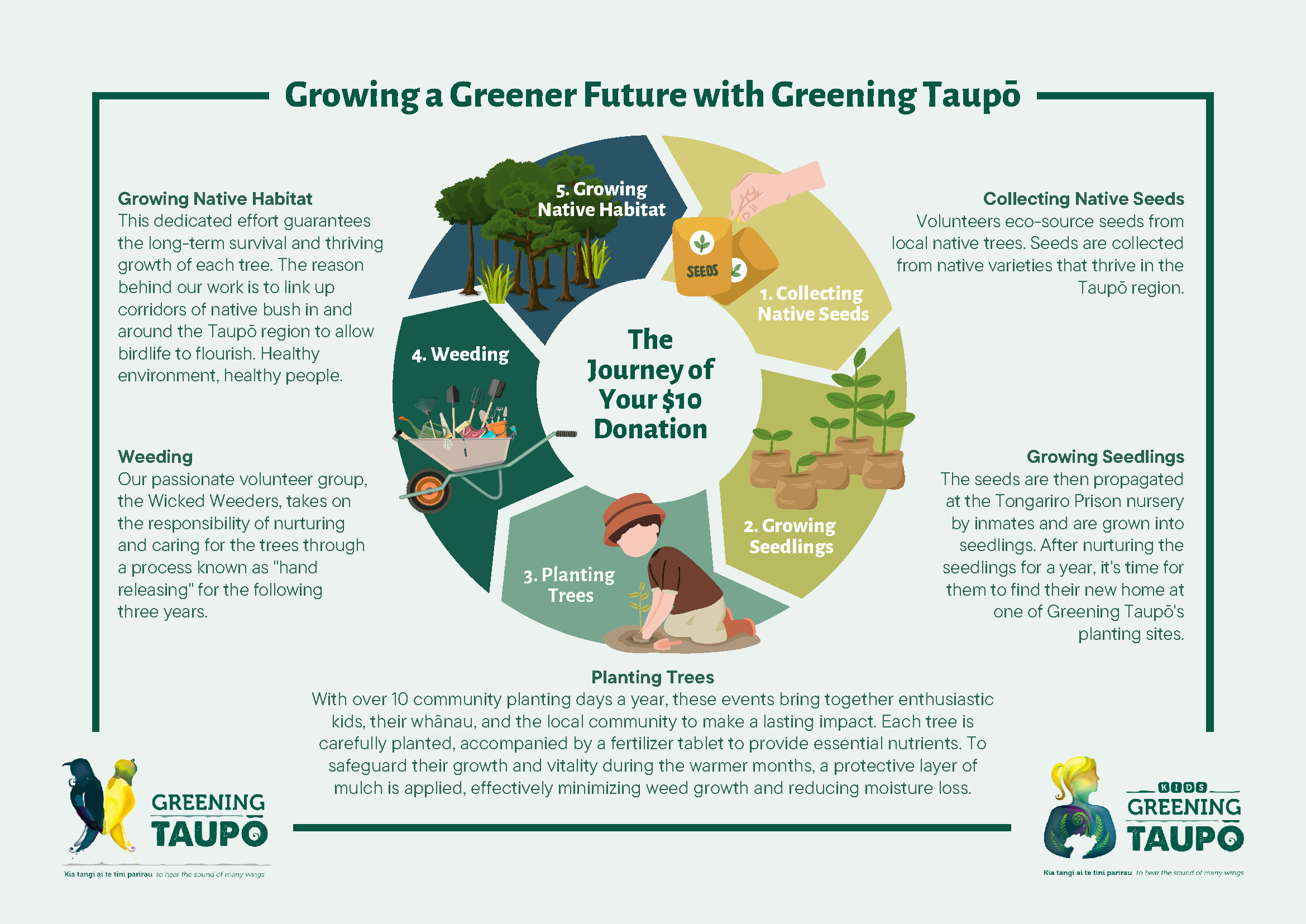 Give trees this Christmas — Greening Taupo
