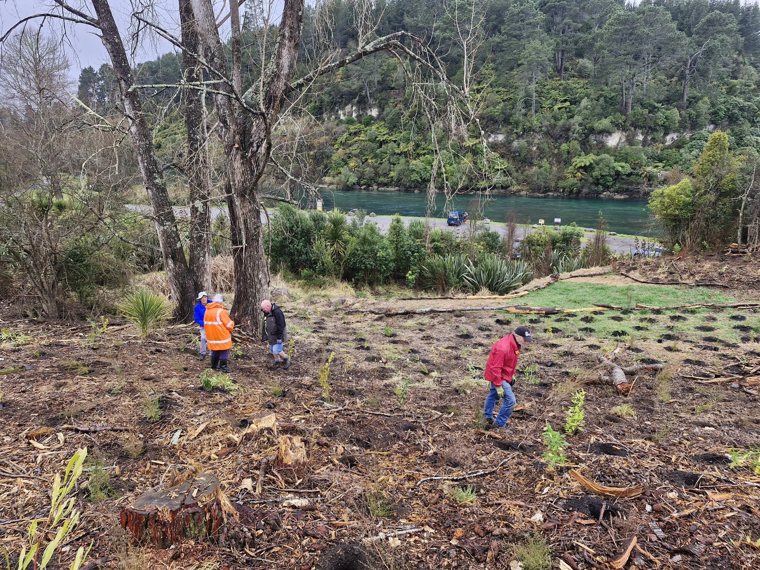 20250829_113519 (1).jpg