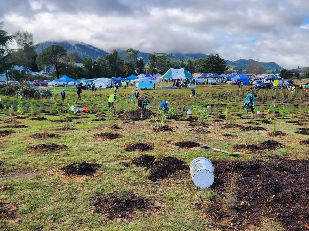 FB_IMG_1685688753997 (4).jpg