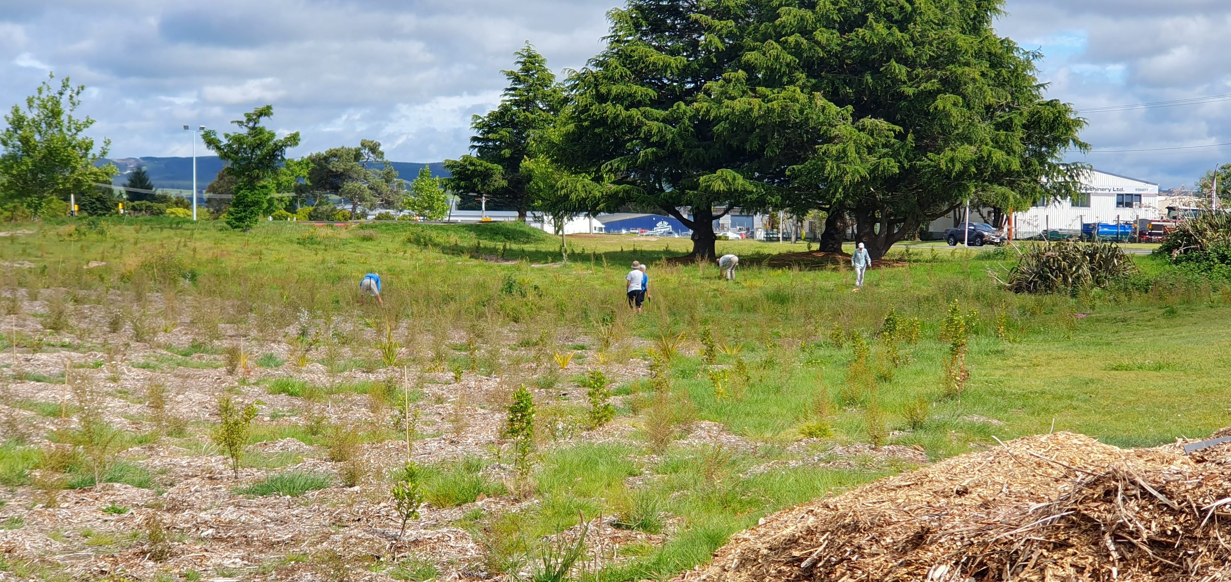 Wicked Weeders 3rd Feb🌱 