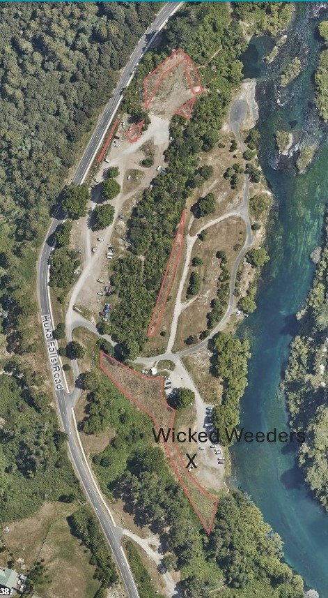 Hipapatua 2026 (1).JPG