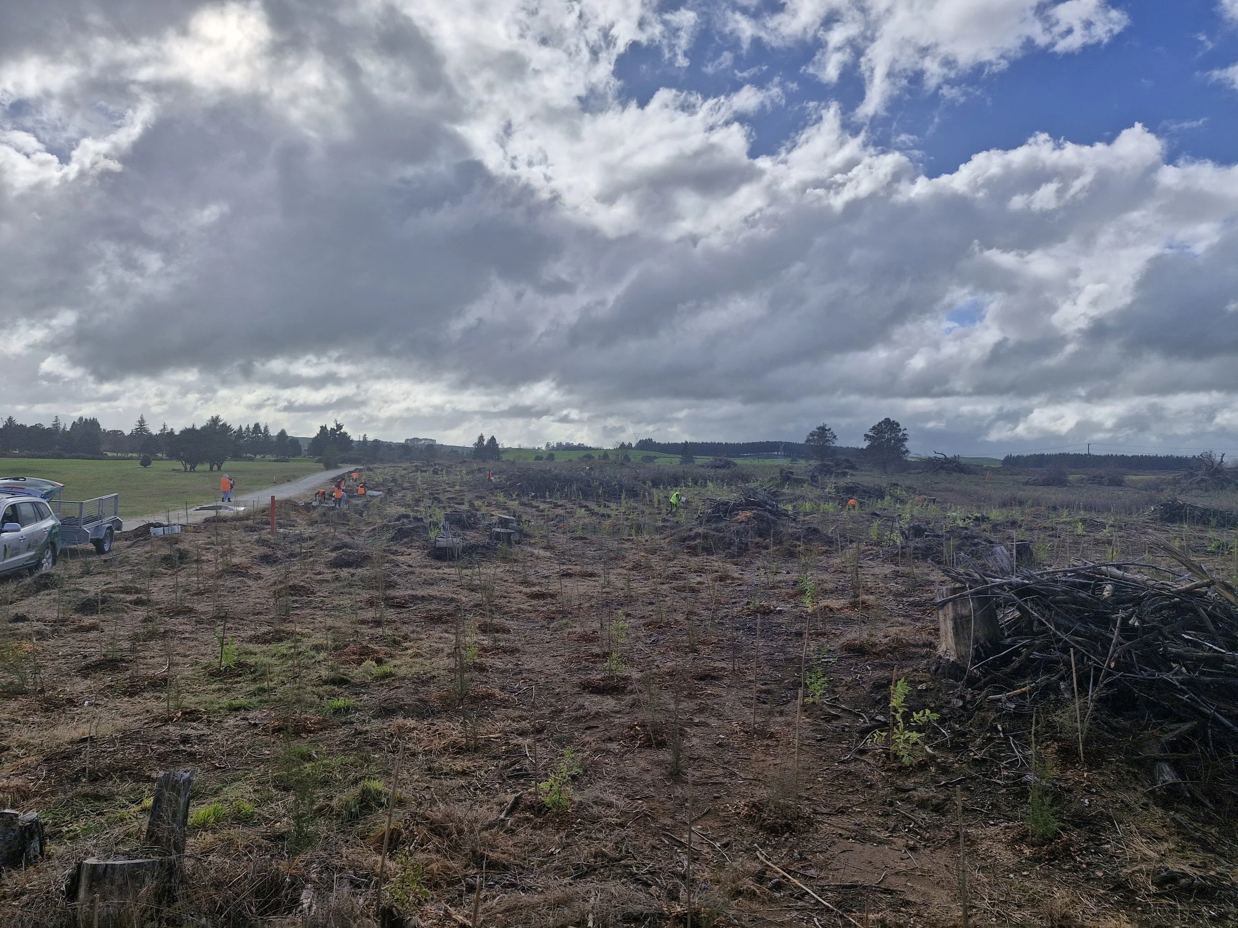 Wicked Weeders 17th March 🌱 