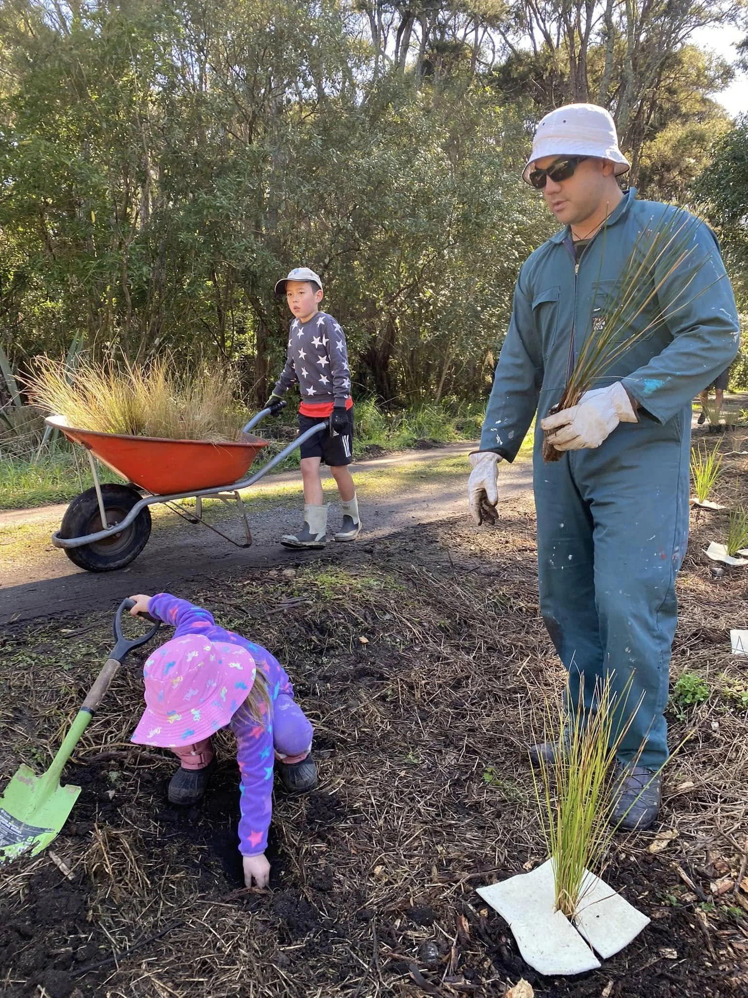Planting at Hatepe 1.jpg