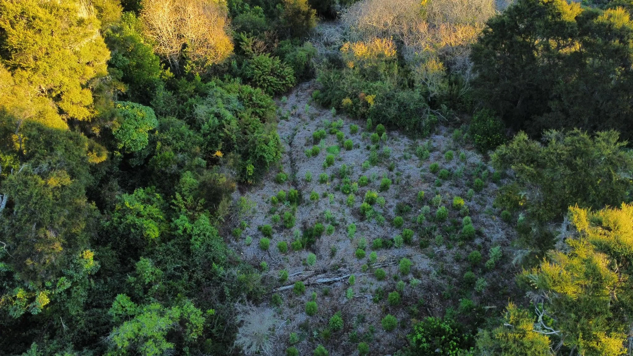 Drone Image 2023.jpg