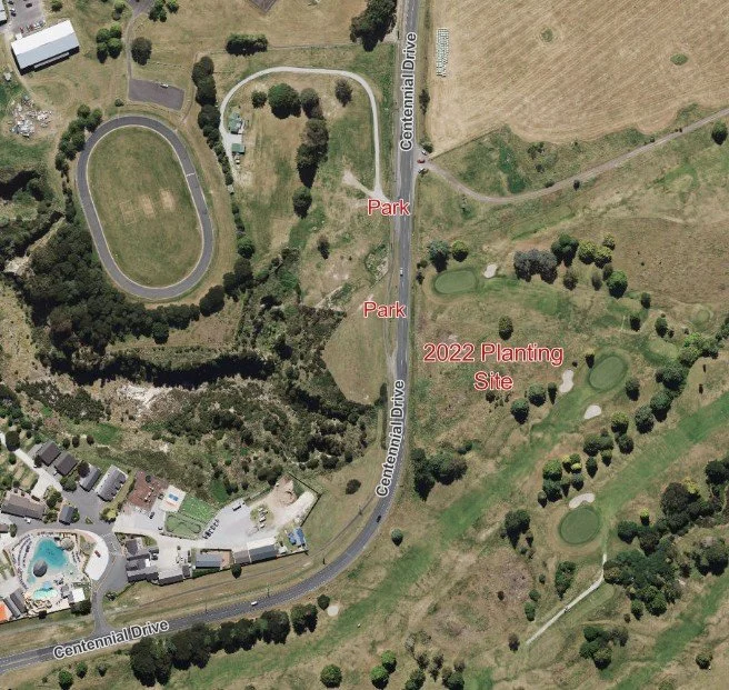 WW 2022 golf site.jpg