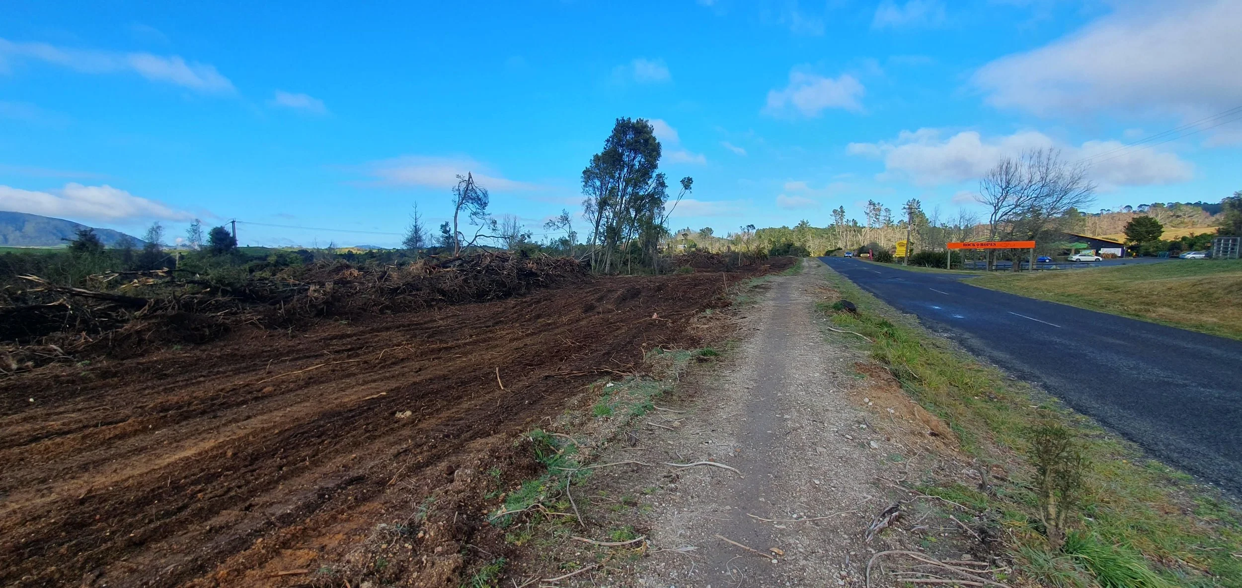 Weeders on Friday this week