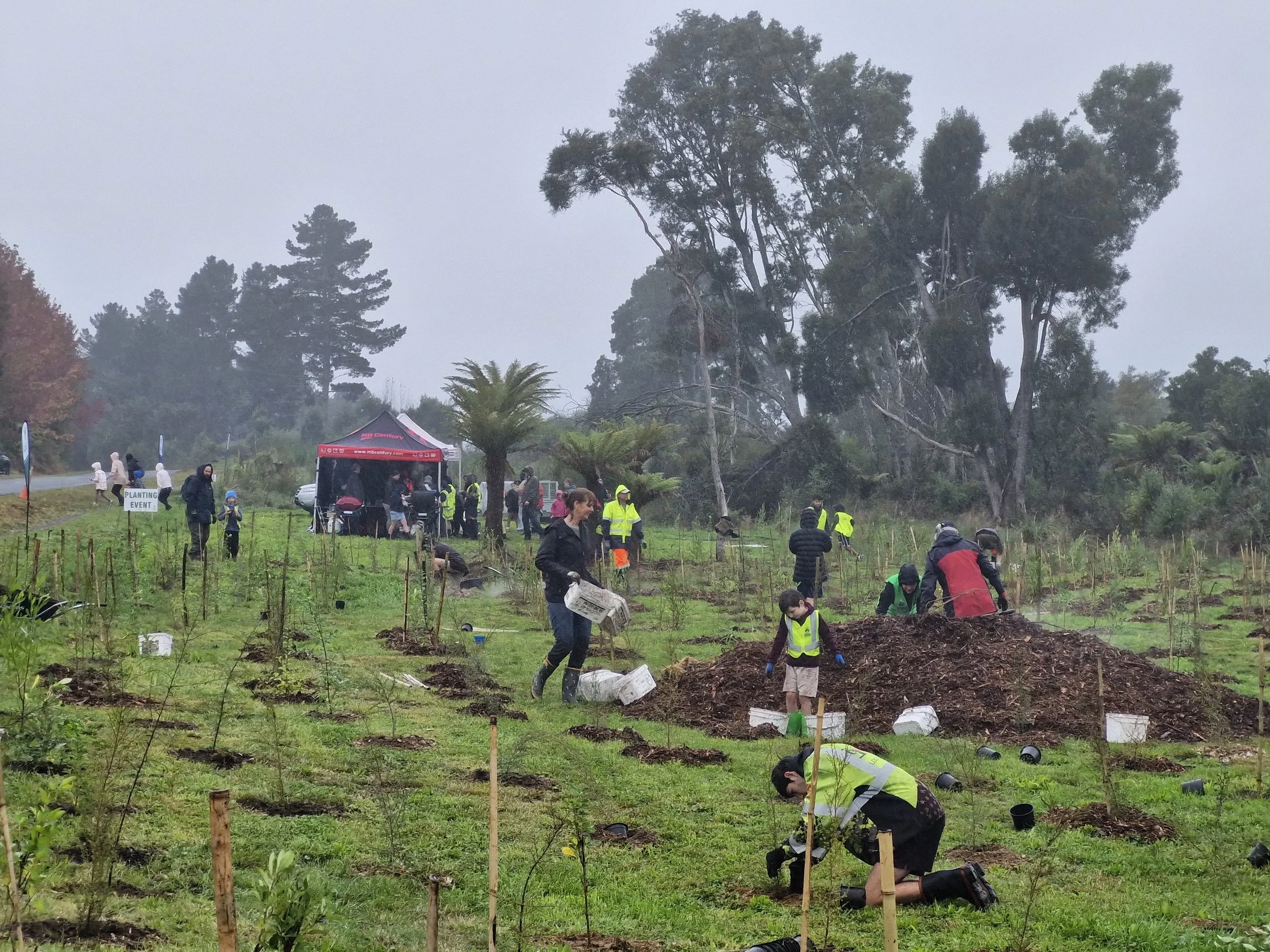 Wicked Weeders 21st April🌱 