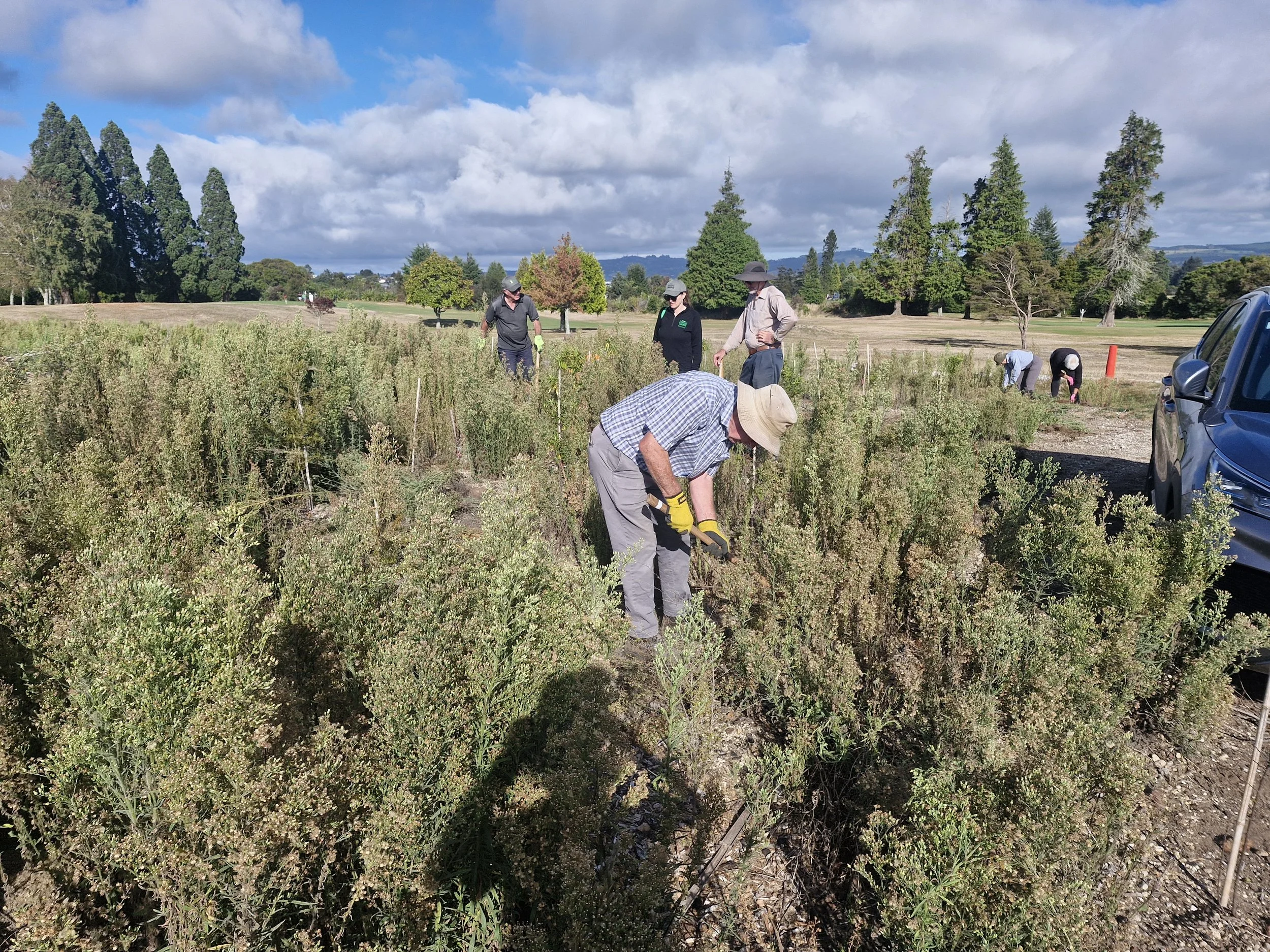 Wicked Weeders 12th May