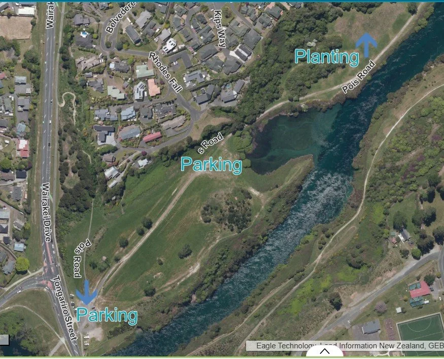 Kahurangi planting.jpg