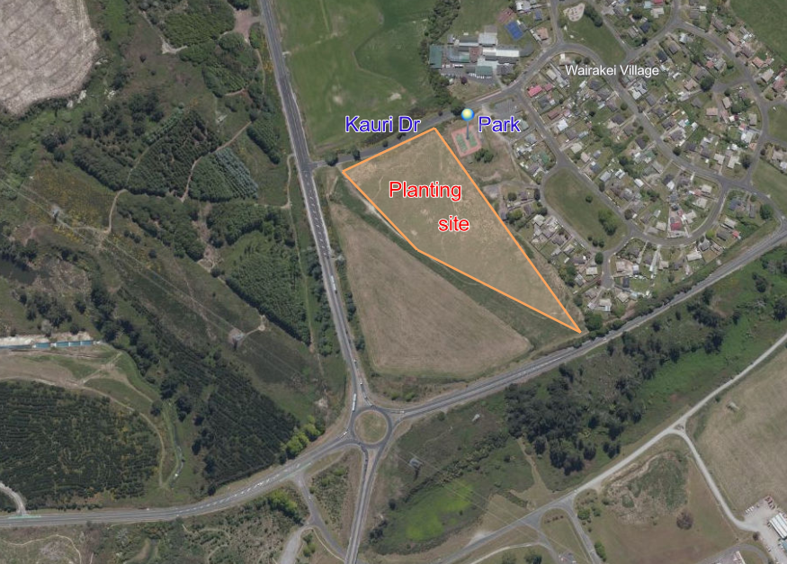 Wairakei Drive 2026.png