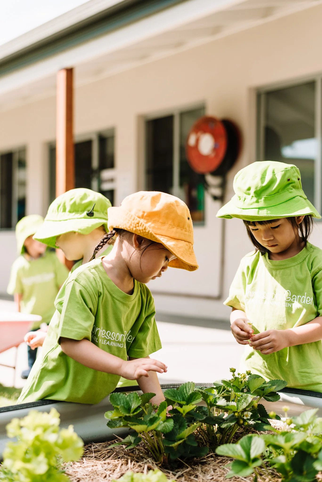MontessoriGarden_YMoosa-8.jpg