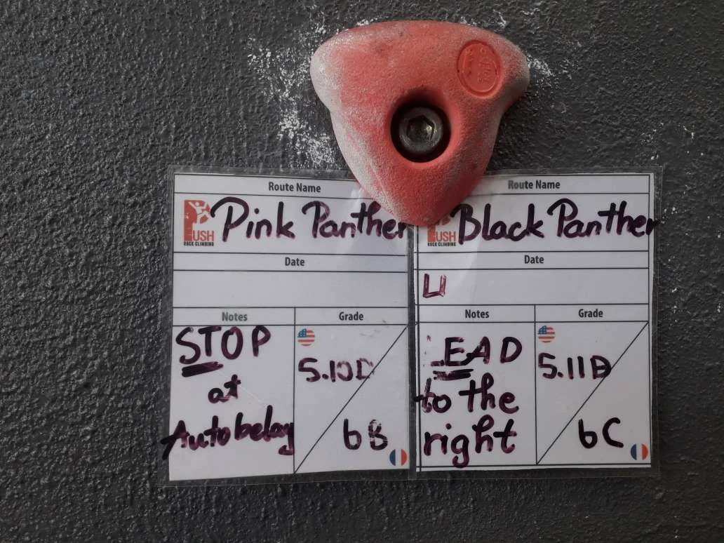pink panther holds.jpg