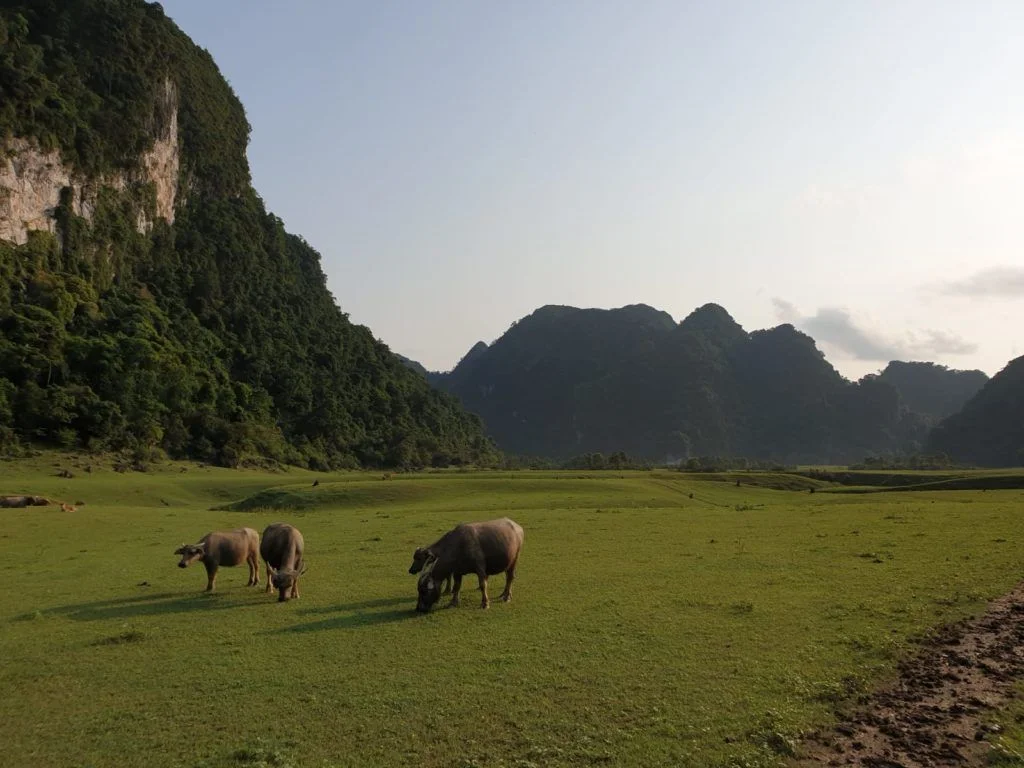 Huu Lung - not too shabby. Picture shamelessly lifted from this fine climbing blog, thank you Ariane