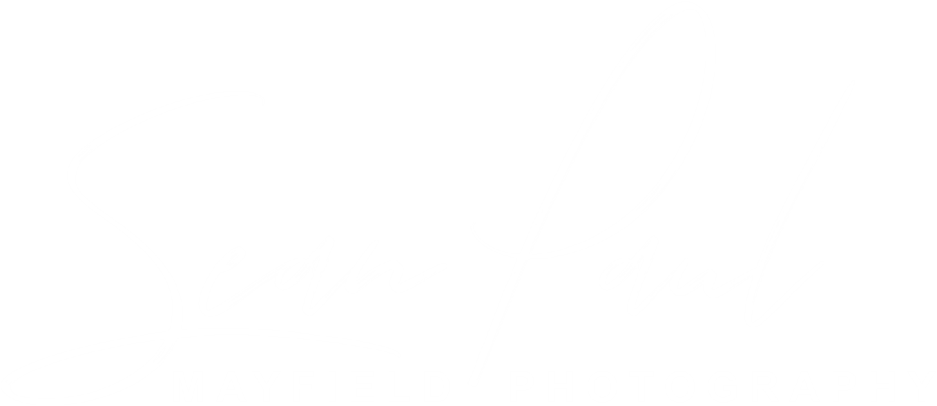 Welcome to the Visions of Sean Paul Mayfield