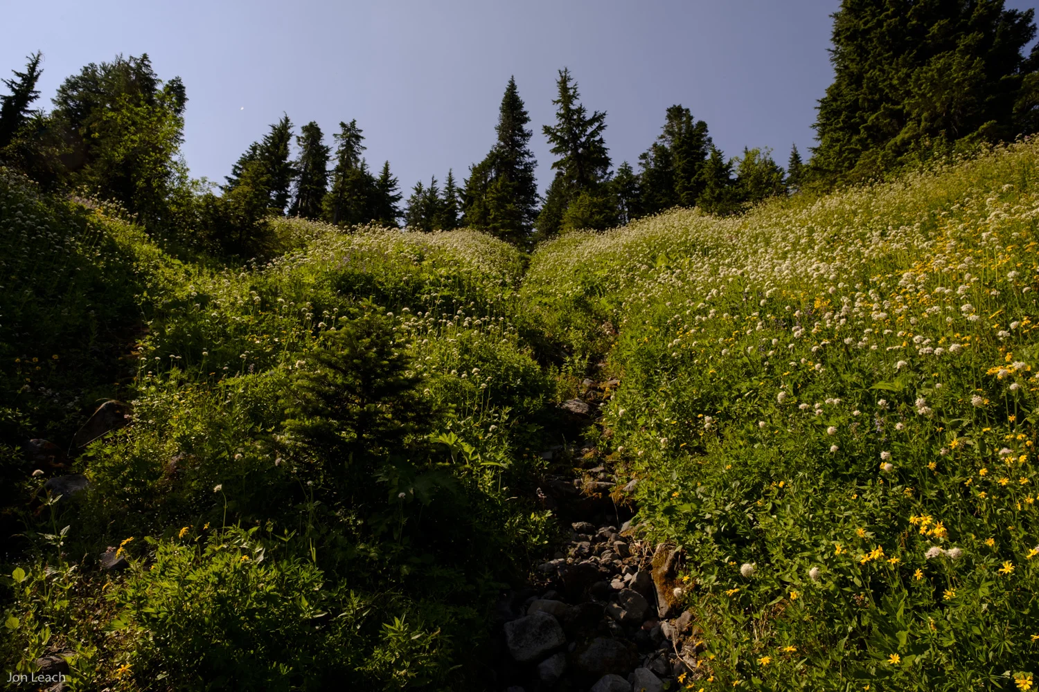 _DSF2528-67.jpg