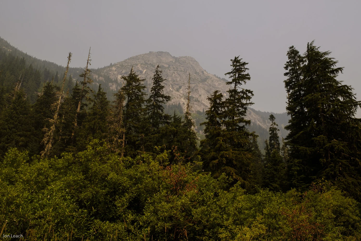 _DSF2619-73.jpg