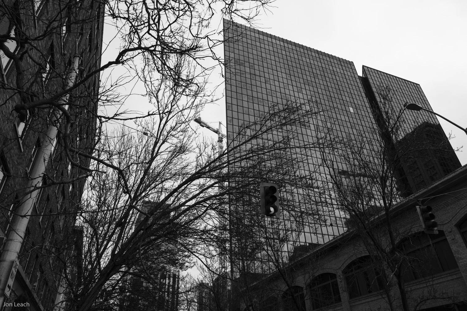 _DSF0102-1.jpg