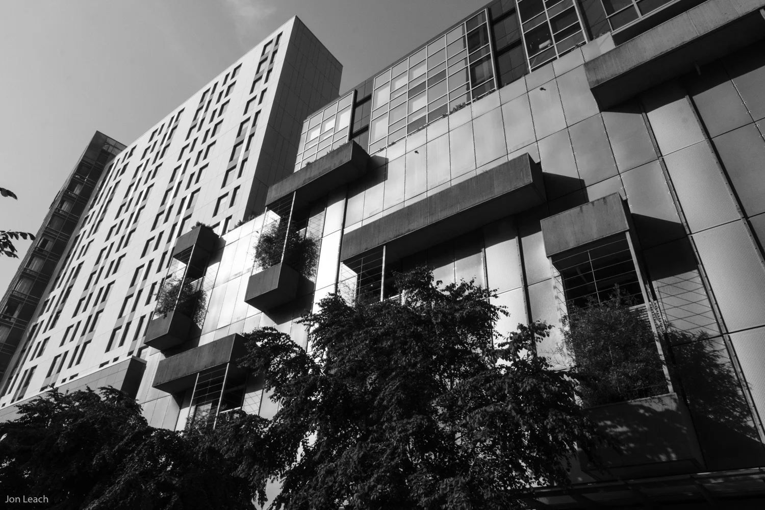 _DSF0051-9.jpg