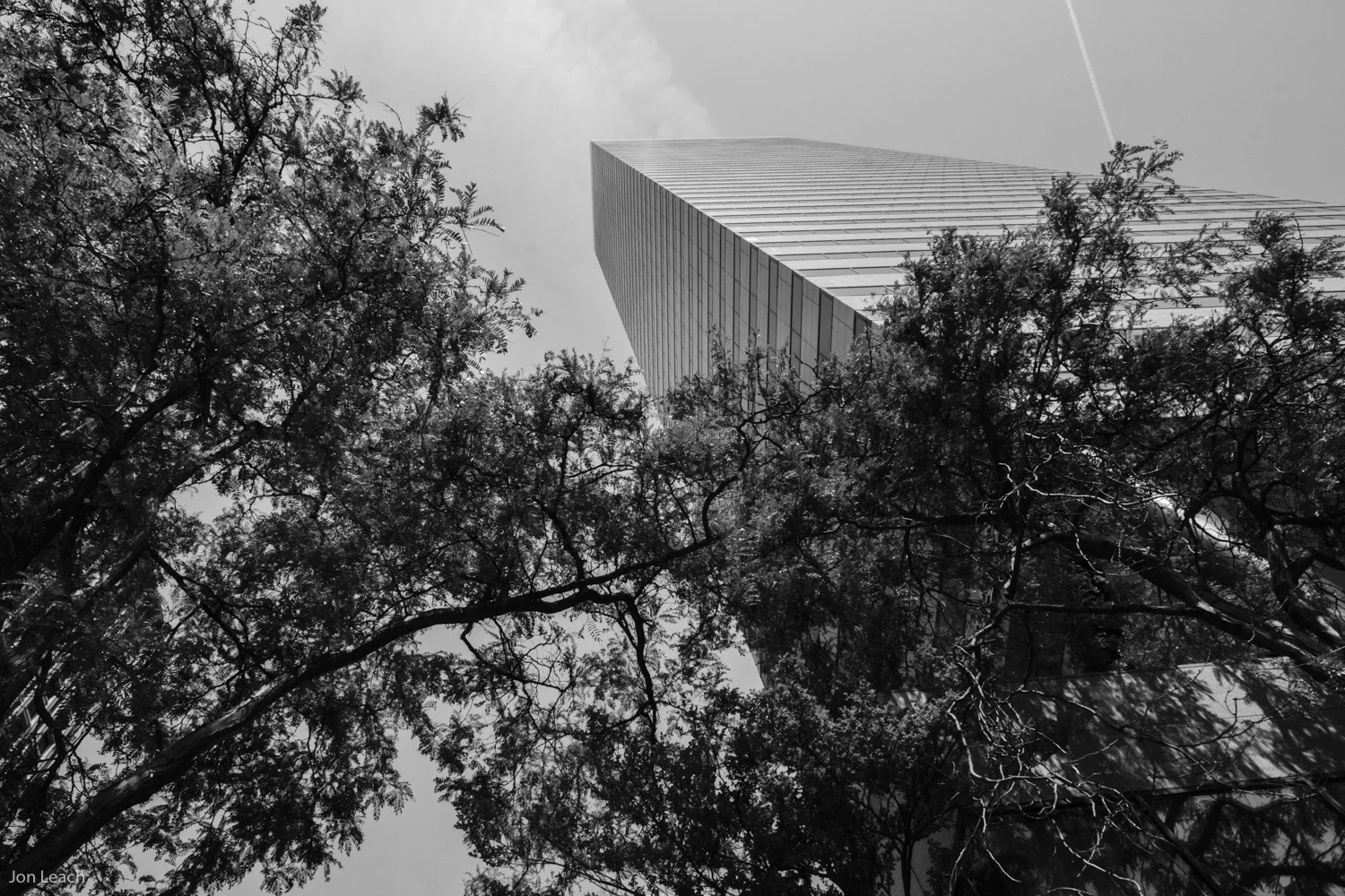 _DSF0146-15.jpg