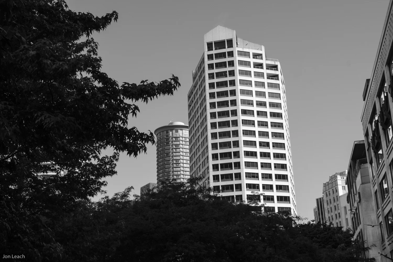_DSF0178-1.jpg
