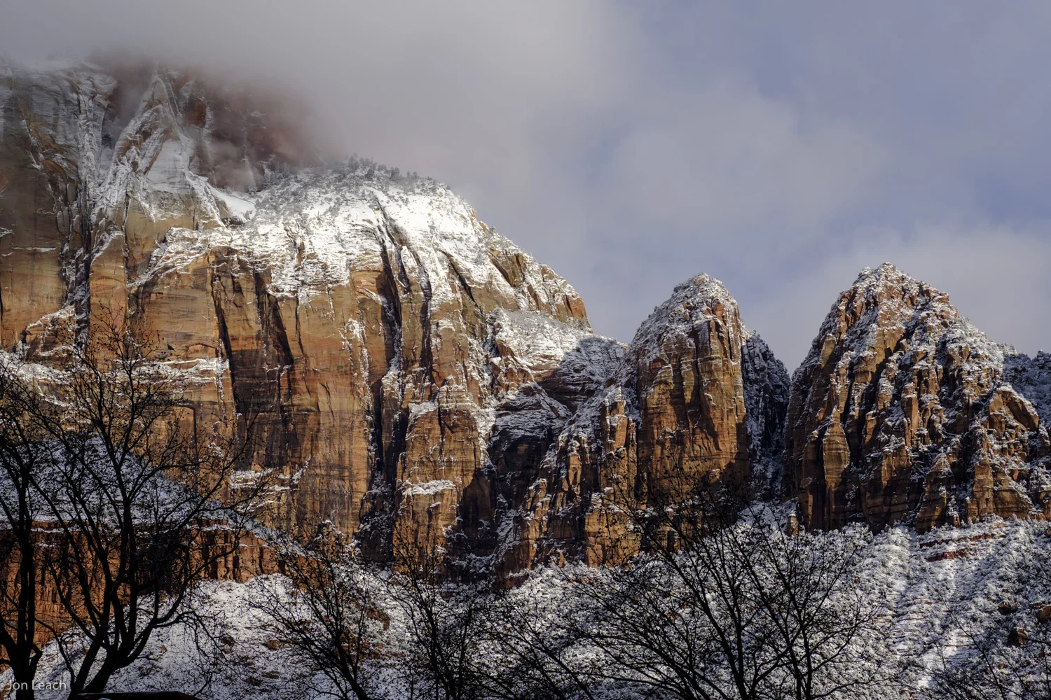 _DSF0497-1.jpg