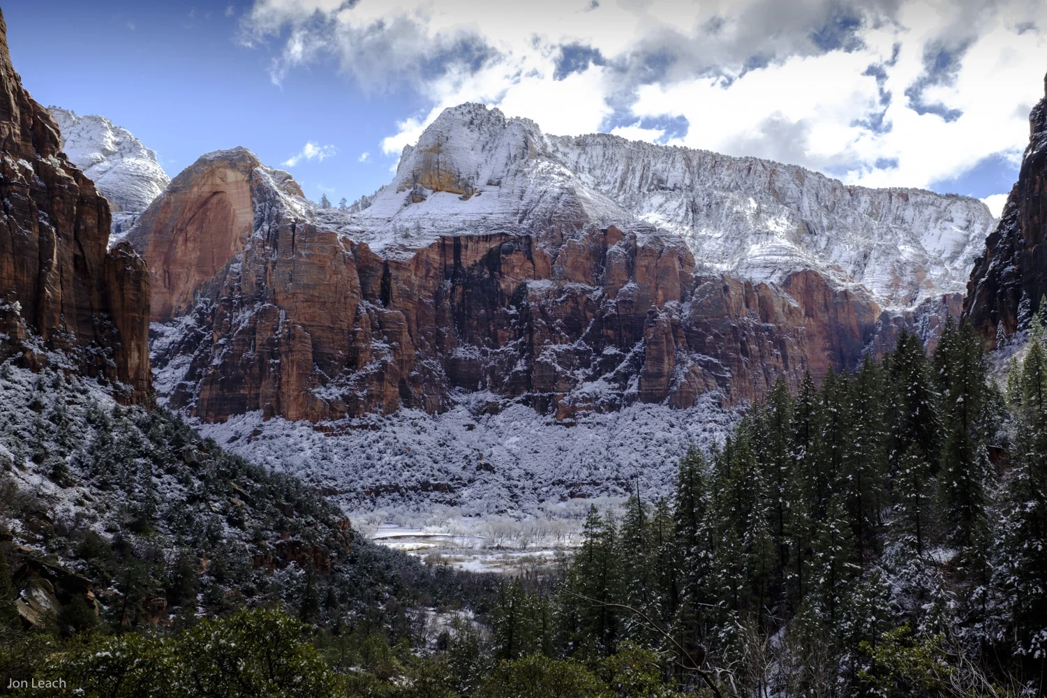_DSF0691-1.jpg