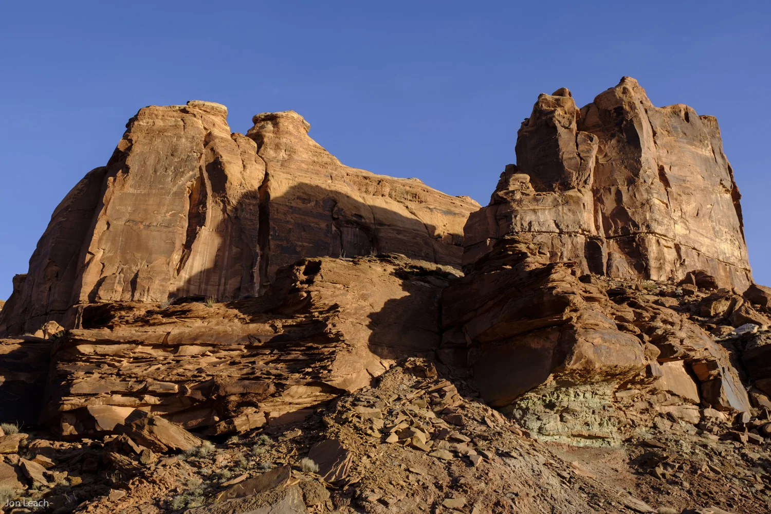 _DSF6534-1.jpg