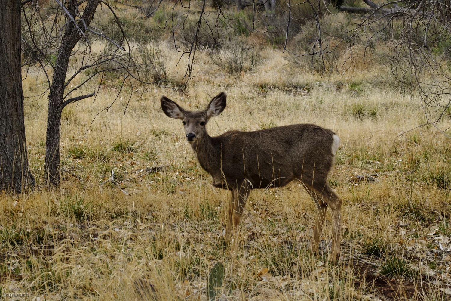 Estes park, Colorado