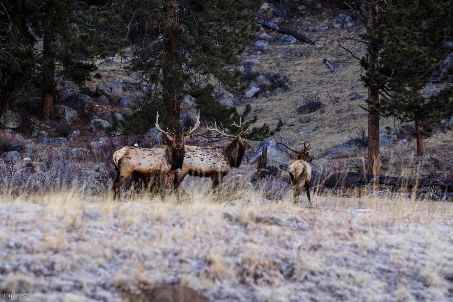 Estes Park Colorado