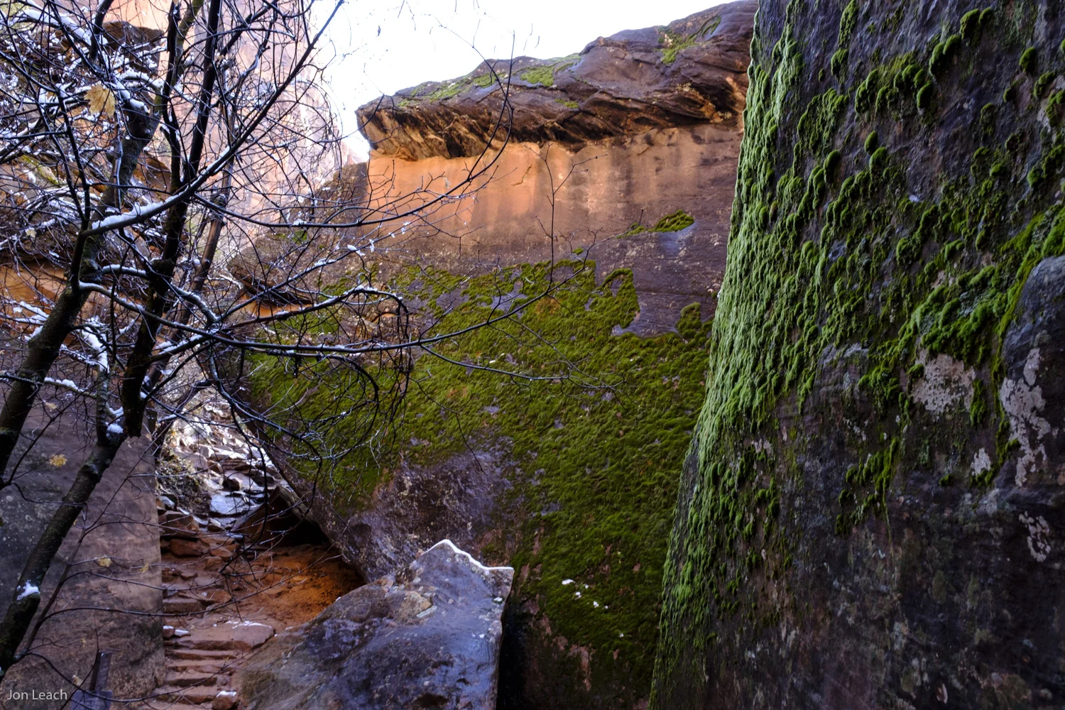 Zion