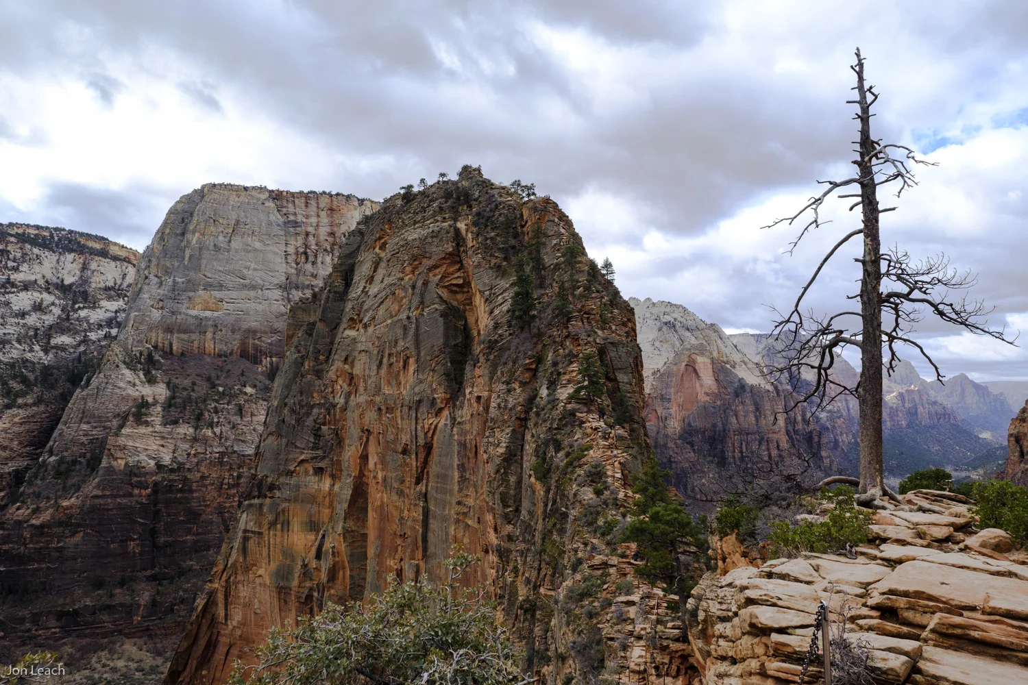 _DSF0155-1.jpg