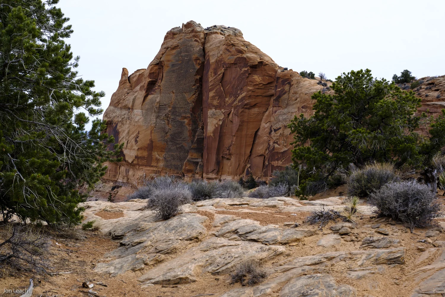 _DSF7402-1.jpg