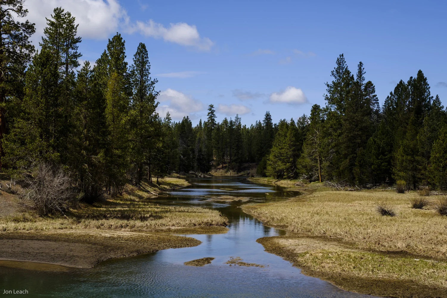 _DSF0040-53.jpg