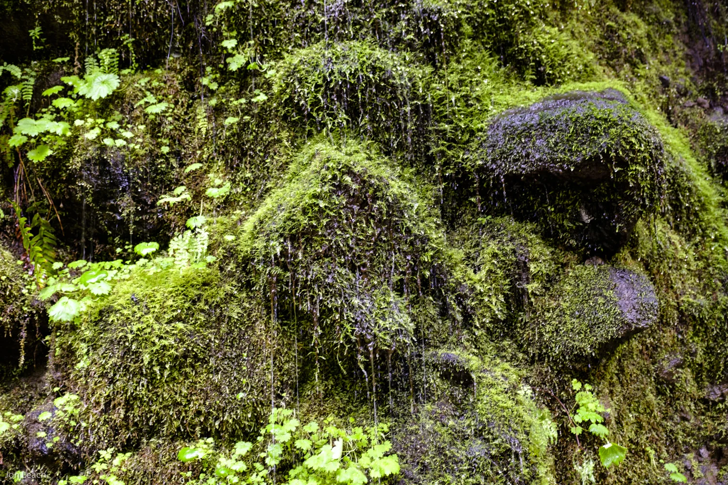 _DSF0272-8.jpg