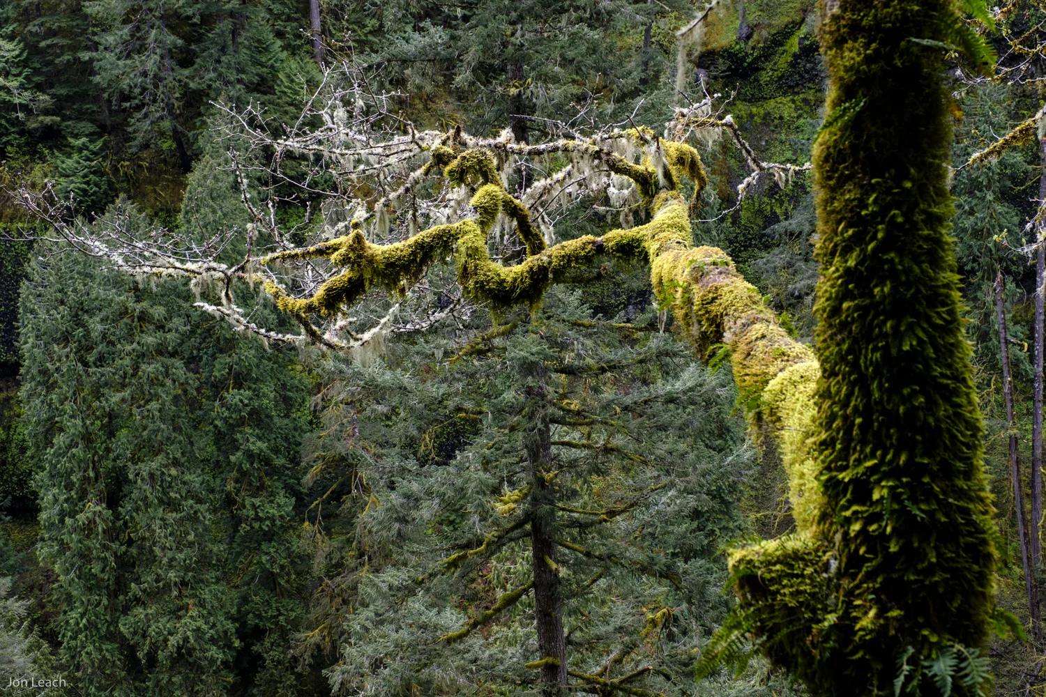 _DSF0338-19.jpg