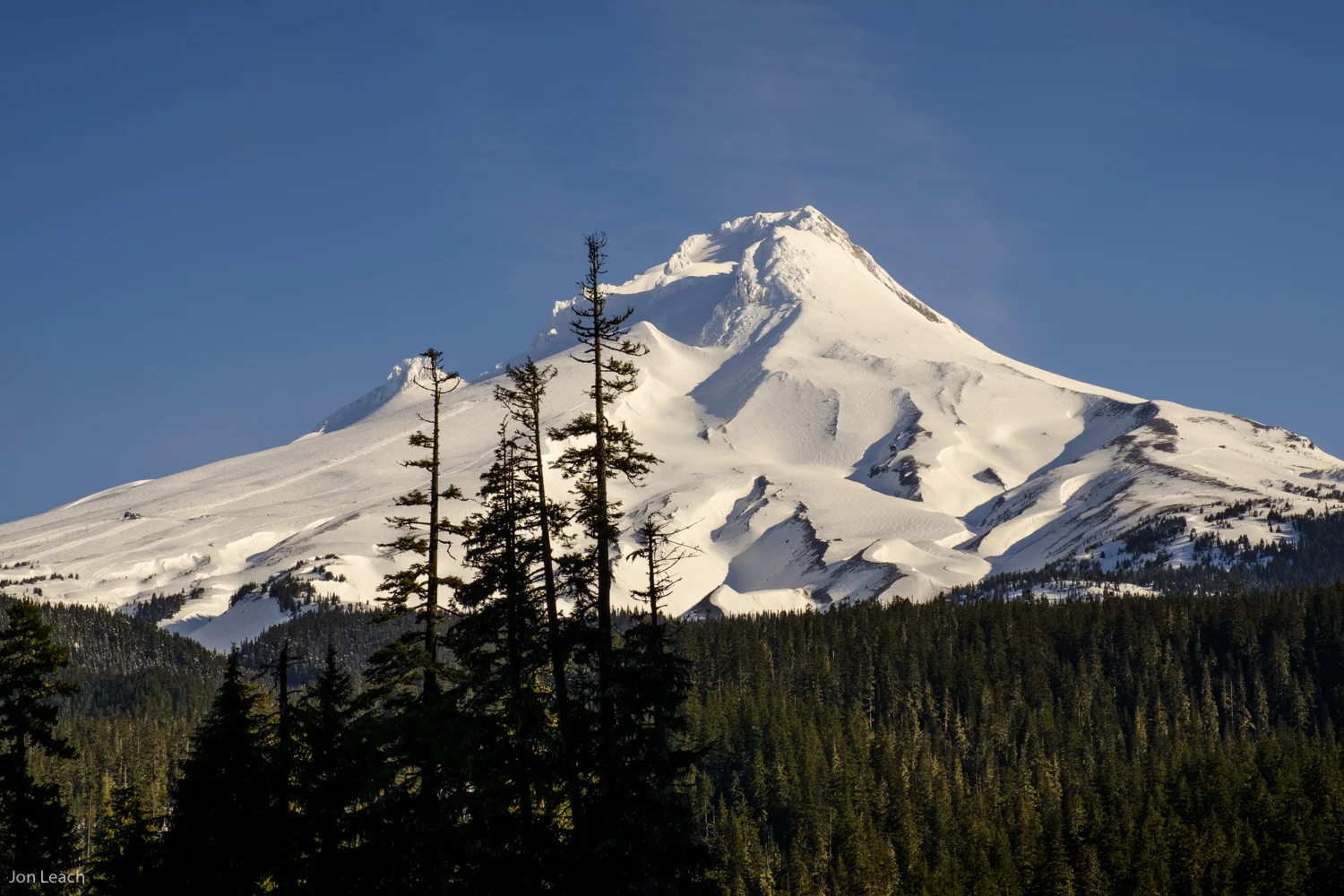 Mt. Hood