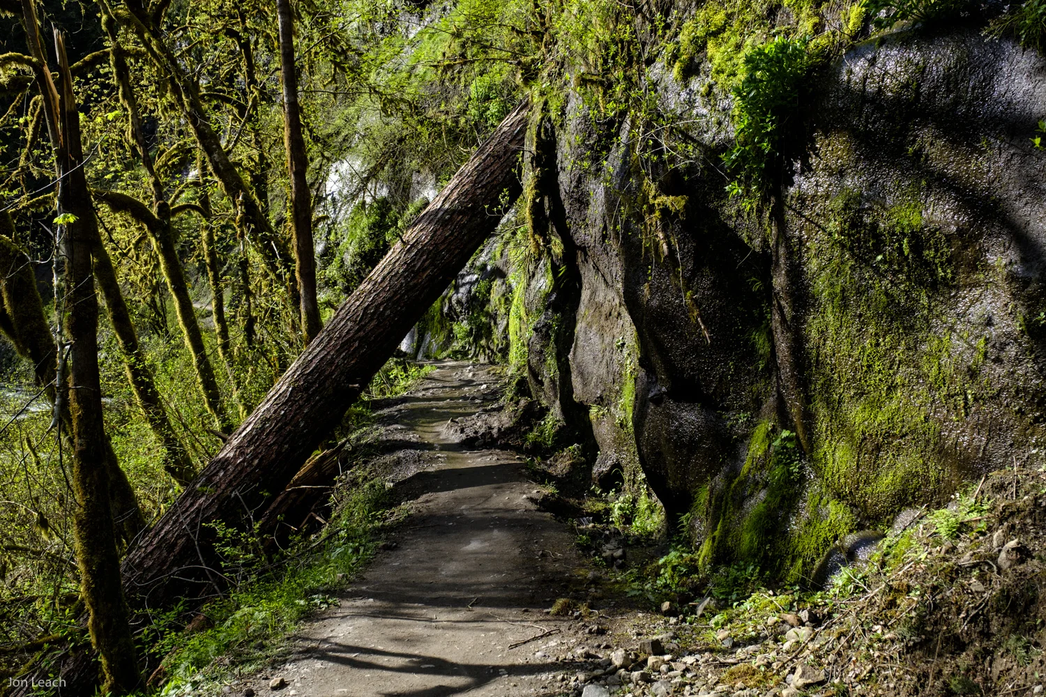 _DSF0744-44.jpg