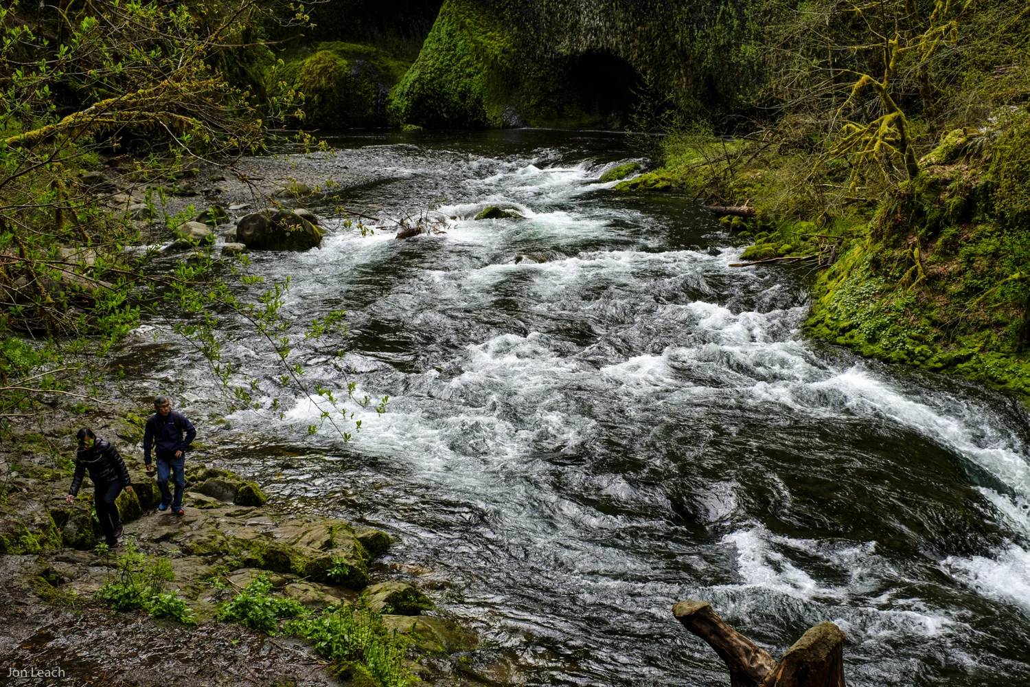 _DSF0463-1.jpg