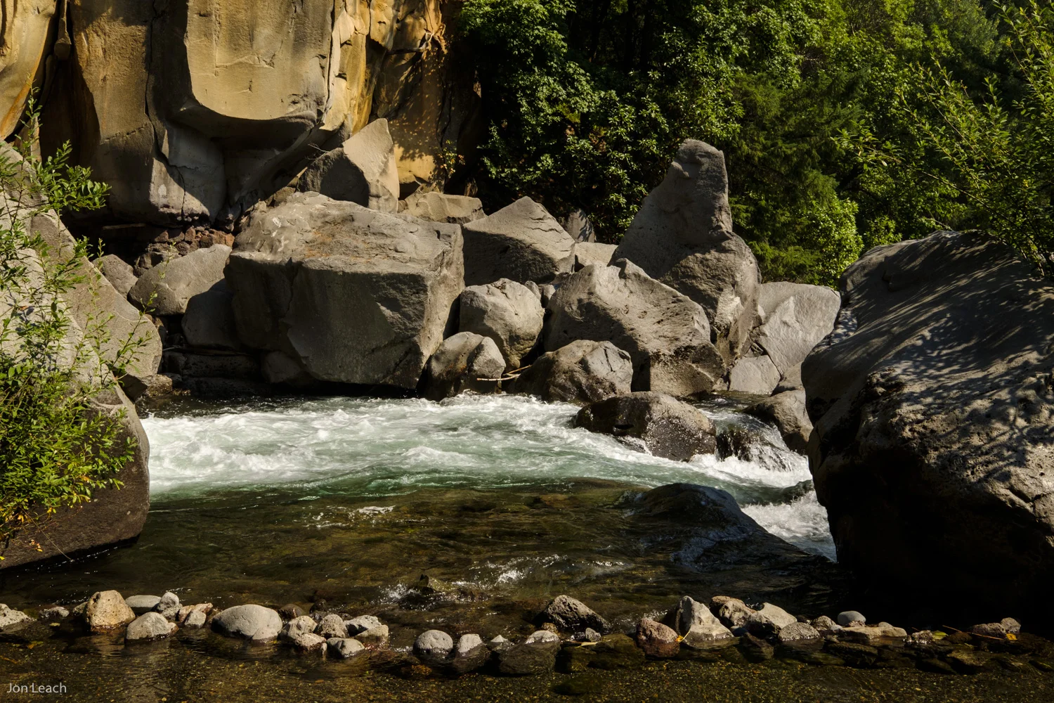 _DSF0881-1.jpg