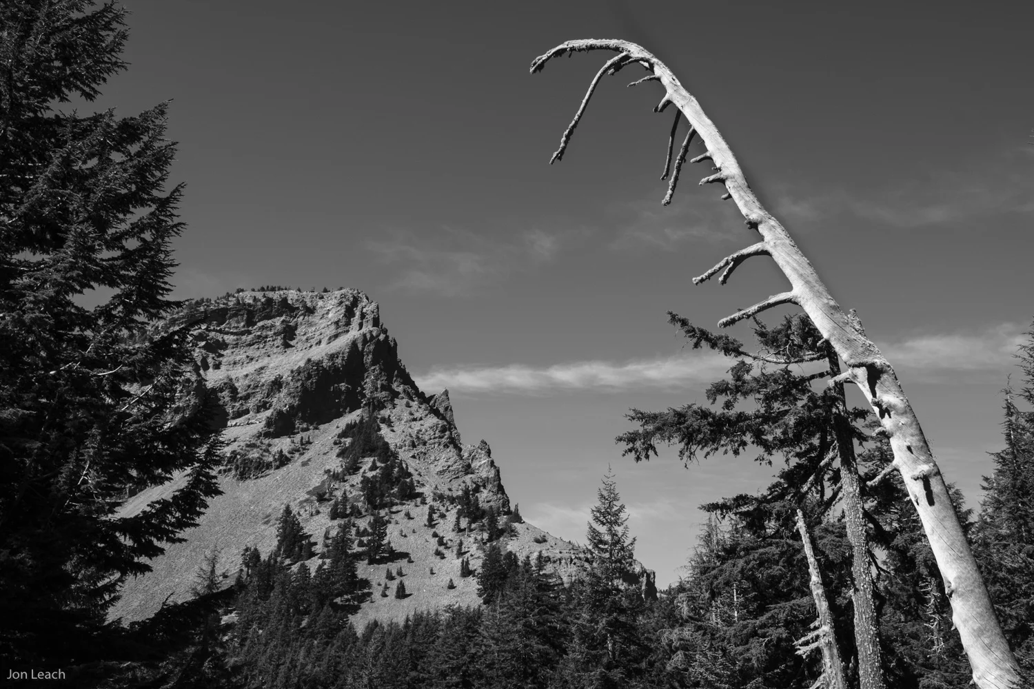 _DSF0580-1.jpg