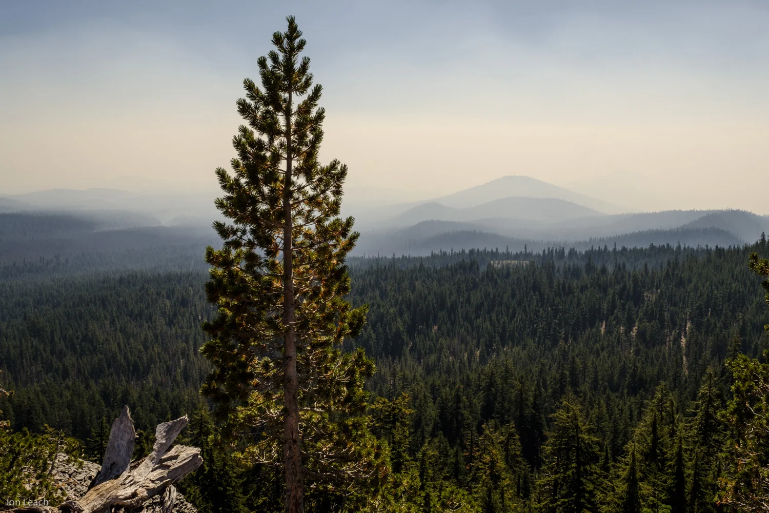 _DSF0609-2-1.jpg