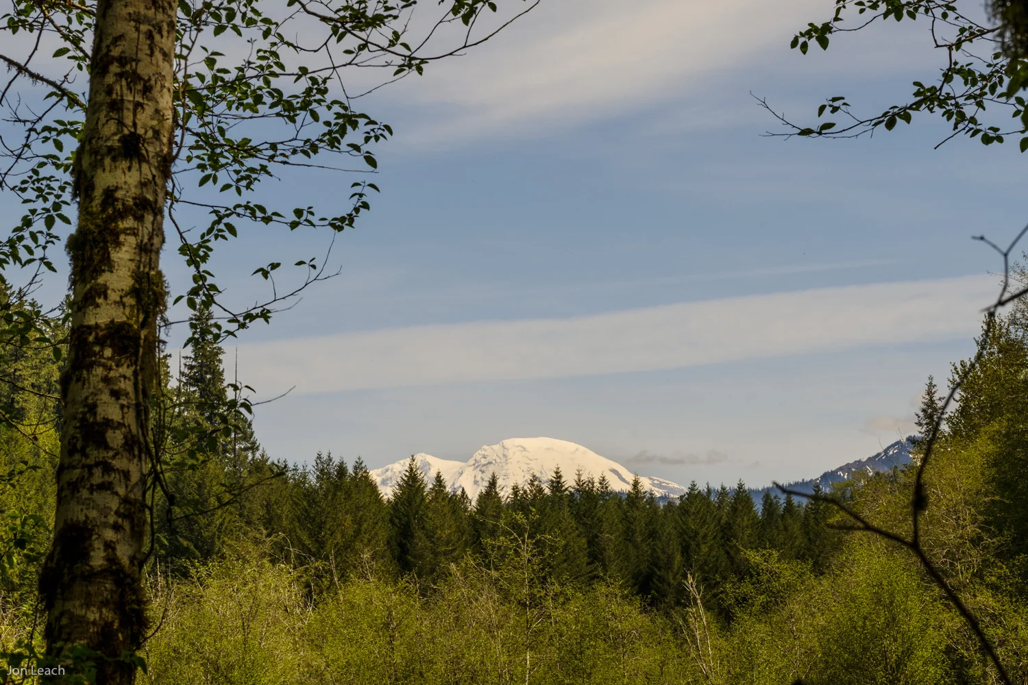 _DSF0345-2-1.jpg