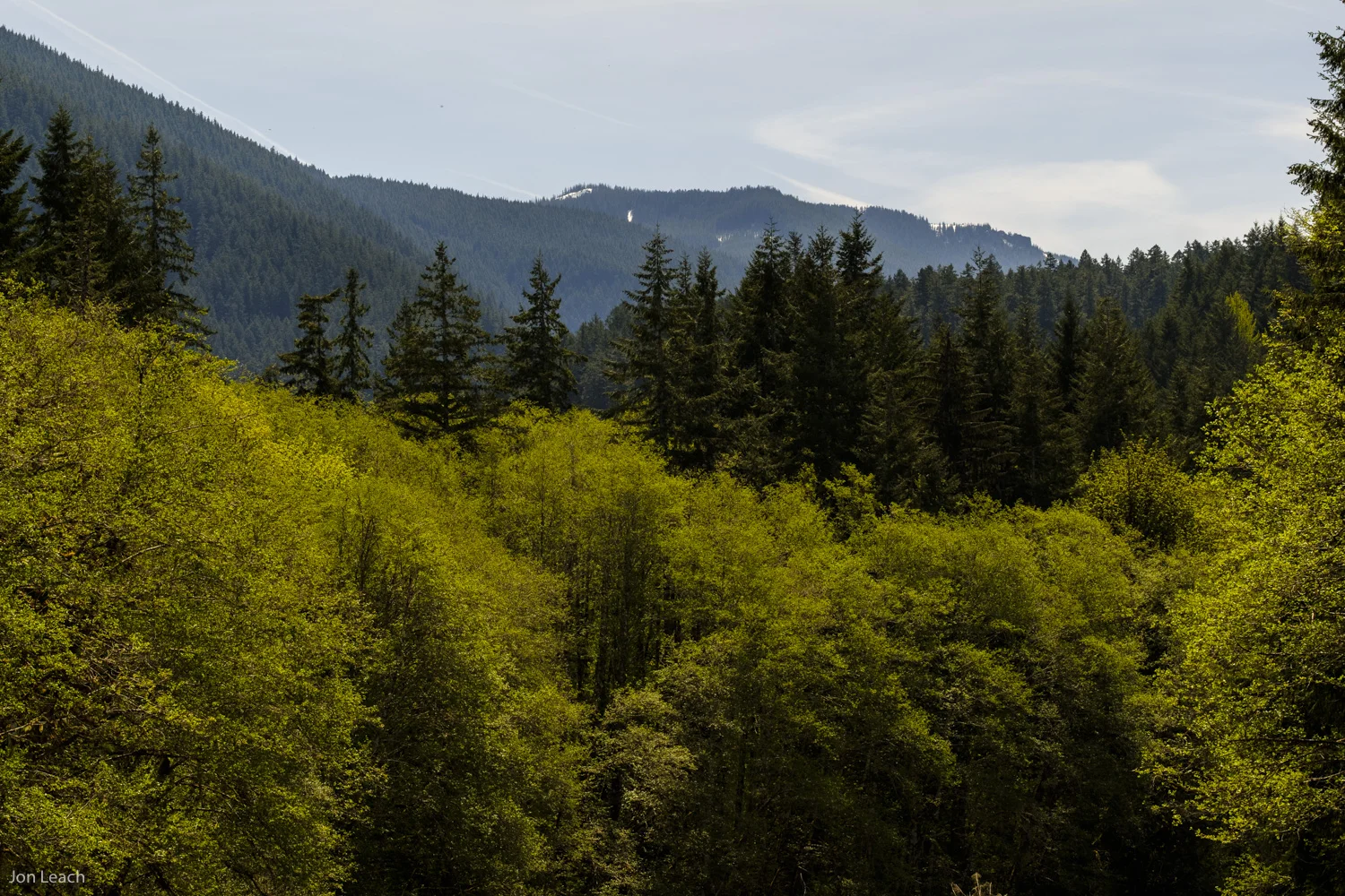 _DSF0395-2-1.jpg