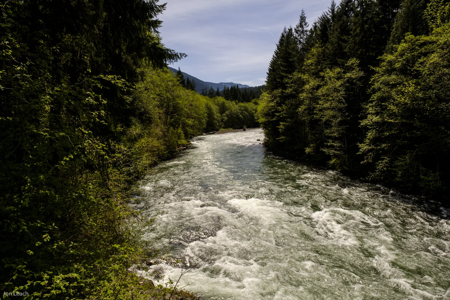 _DSF0398-2-1.jpg